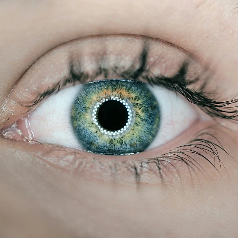 Optimiser la gestion de chantier dans le secteur du BTP