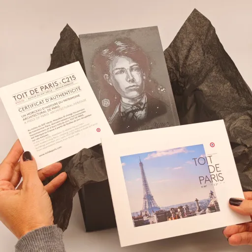 Interview de Constance Fichet-Schulz de Toit de Paris : Quand le street-art illumine les toits de Paris